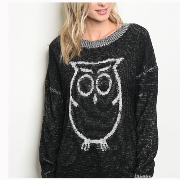 FINAL PRICE: What a HOOT Sweater 🦉 - Picture 5 of 5